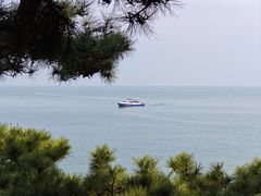 -青岛海滨风景区-鲁迅公园