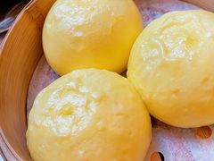 -大可堂普洱茶馆(襄阳南路馆)