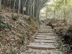 -会稽山峡洞漂流-上青古道