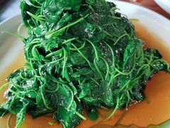 酒香草头-金丰鱼庄(四团店)