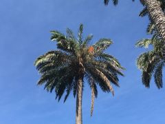 -鹅銮鼻公园