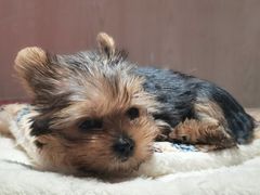 -乐宠宠物店(世纪金源店)