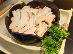 -季季山•云南野生菌火锅(上海首店)