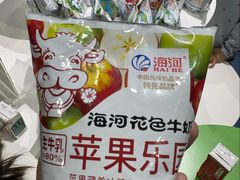 -天津海河华北乳品有限公司