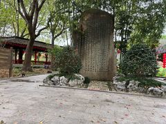-南汇桃花村