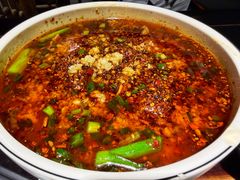 -陈麻婆豆腐总店