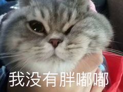 -大米先生(大洲中百店)