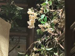 -肥猫(义乌万达店)