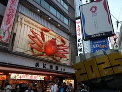-蟹道乐(道顿堀本店)
