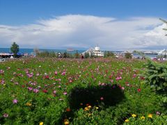 -青海湖国家重点风景名胜区