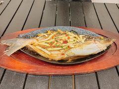 -沙州食驿·非遗小吃夜市
