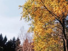 -长春公园(普阳街道)