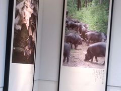 -刀板香·安徽菜(国购IFC店)