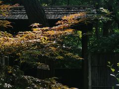 -大连植物园