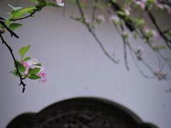 -棠湖公园
