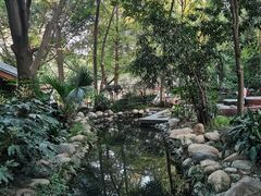 -成都市活水公园