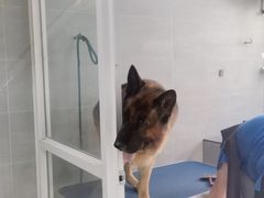 -宠福鑫康馨动物医院·骨科·眼科