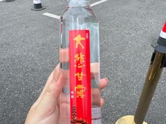 -龙华素斋(龙华路店)