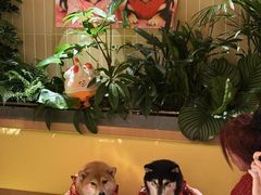 -海底捞火锅(凤凰广场店)