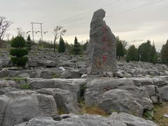 -原山国家森林公园