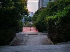-半山林海