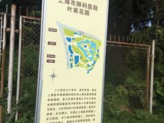 -叶家花园