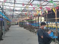 -亲兄弟真人CS团建拓展基地