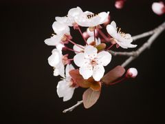-信号山公园