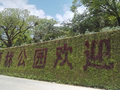-广州市石门国家森林公园