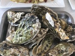 -渔民船说·北塘海鲜·天津菜·海肠捞饭(北塘古镇店)