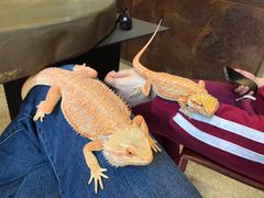 -阿目眼镜(清华科技园店)