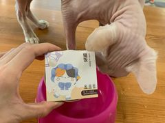 -猫小院猫主题餐厅(三里屯店)