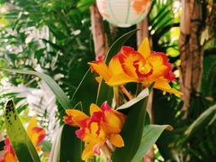 -北京植物园-展览温室