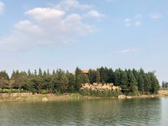-滆湖低碳生态公园