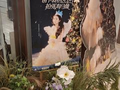 -海马体照相馆(上海月星环球港店)