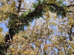 -双龙潭生态运动景区