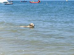 -那香海钻石沙滩浴场