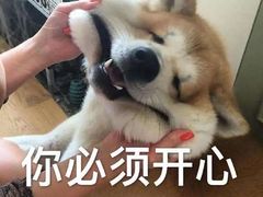 -京韵胡同·酱香羊蝎子火锅涮肉(长寿路店)