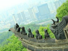 -云碧峰国家森林公园