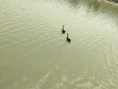 -新疆天山野生动物园