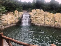 -山叶口景区