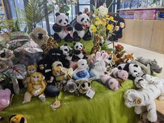 -安徽省地质博物馆