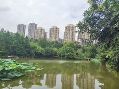 -龙头寺公园