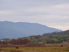 -四明湖