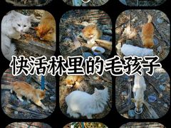 -北京西山国家森林公园