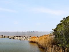 -上海吴淞炮台湾国家湿地公园