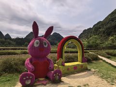 -靖西鹅泉风景区