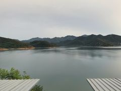-望湖烤鱼