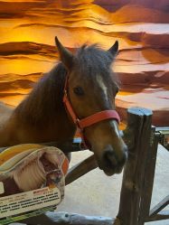 -酷嗒动物文化乐园(cutezoo西溪乐天城店)