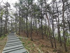 -冶父山国家森林公园